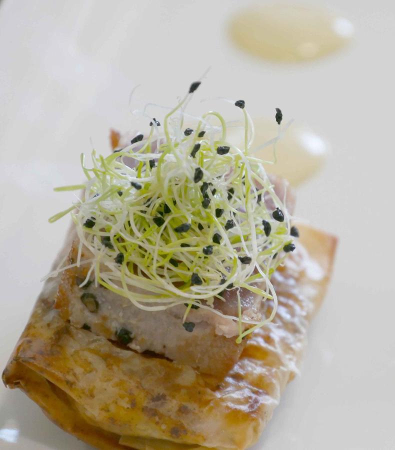 La Planette Bed & Breakfast Aussonne ภายนอก รูปภาพ