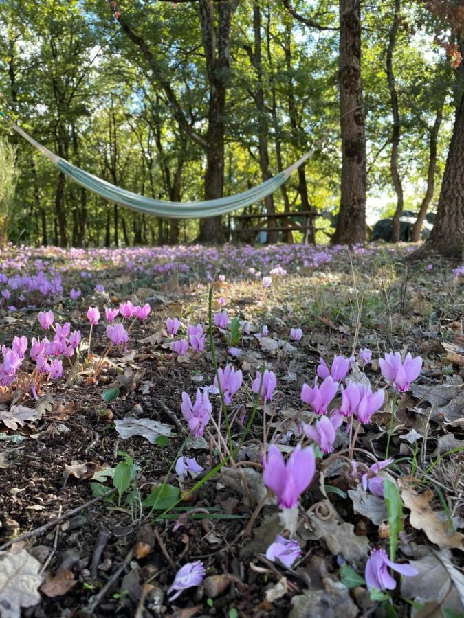 La Planette Bed & Breakfast Aussonne ภายนอก รูปภาพ